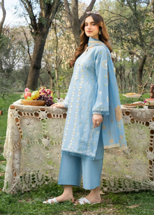 Powder blue Kurta Set